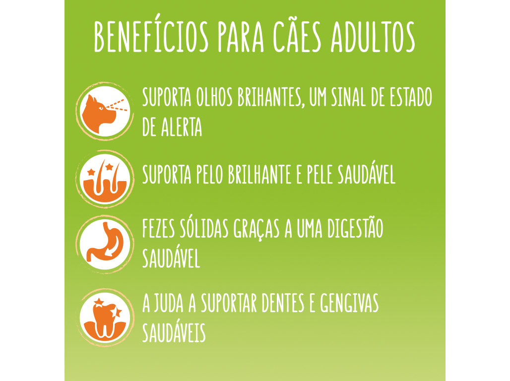 RAÇÃO PARA CÃO FRISKIES MINI MENU FRANGO E VEGETAIS 1.5KG