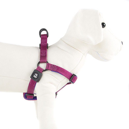 Coleira peitoral para cães TK-Pet Neo Classic em nylon roxo