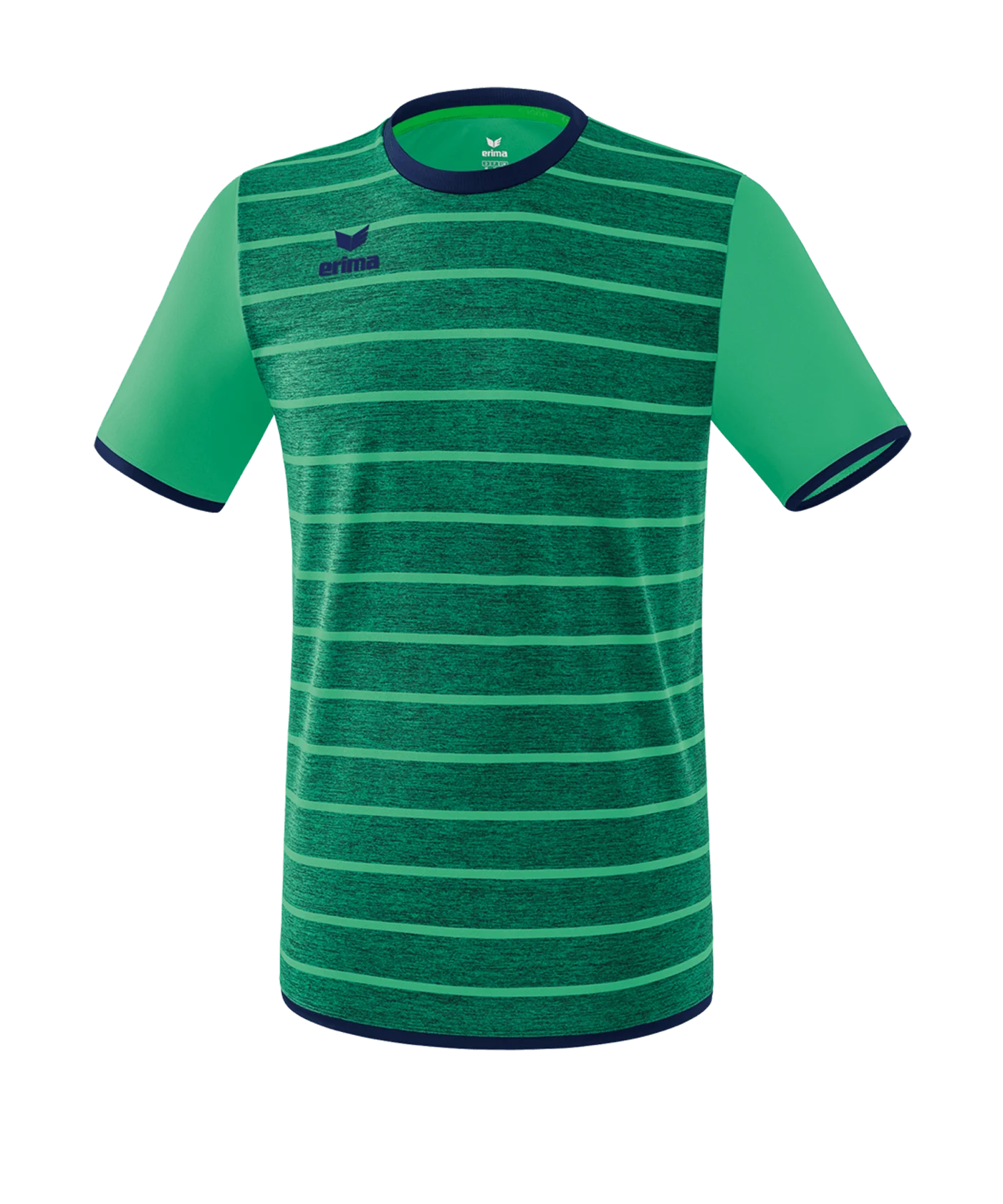 Erima Roma Trikot kurzarm Grün Blau