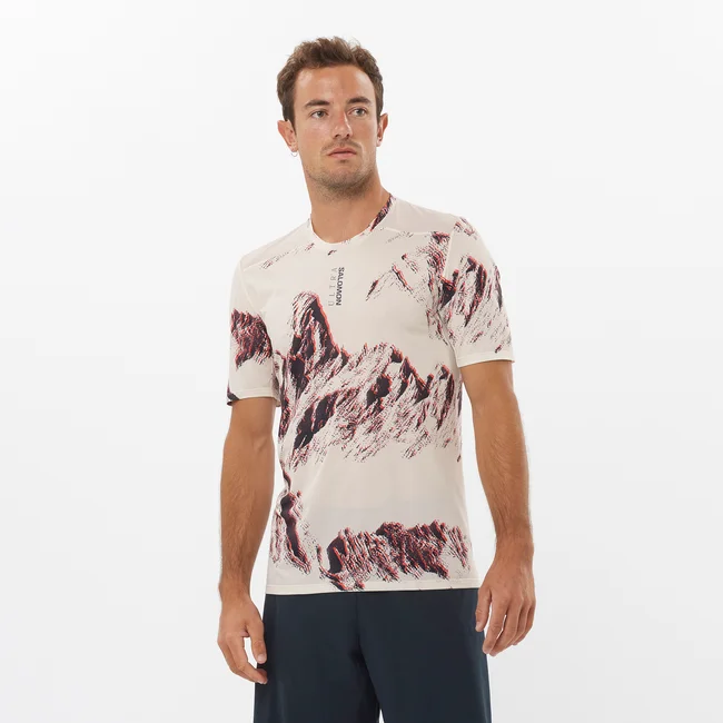 S/LAB SALOMON ULTRA PRINT  Kurzarmshirt Herren VANILLAICE/Print