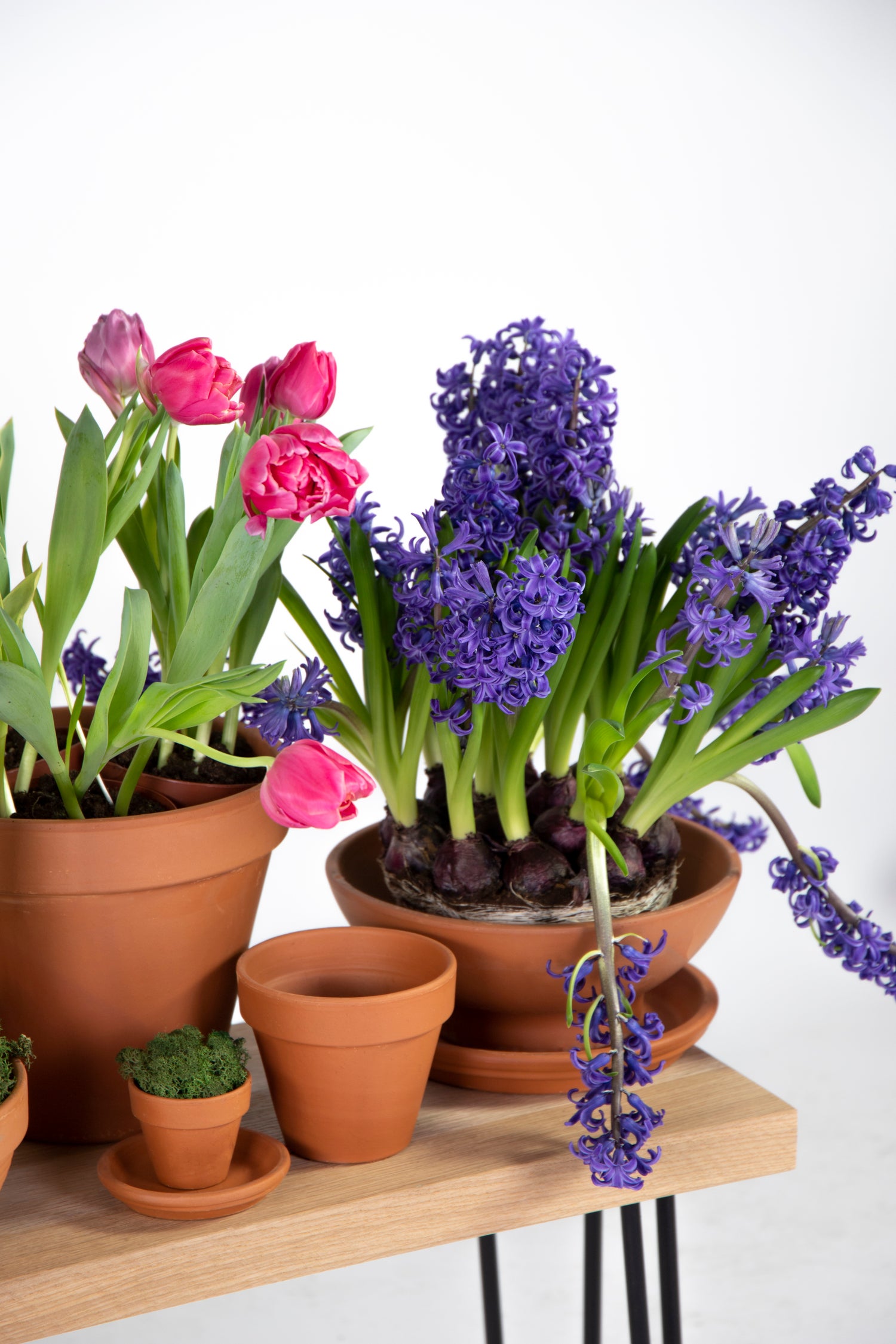 Mega Collections bloempot Sparta bruin D 17,5 H 15,5 cm