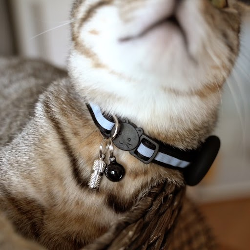 Katzen Halsband mit Apple AirTag Silikon Halterung   Reflektor / Glöckchen / Adressanhänger - Rosa