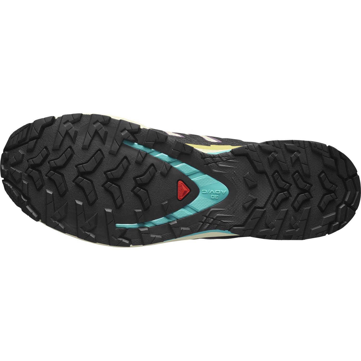 SalomonXA PRO 3D V9 GTX