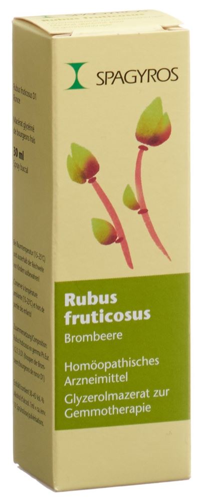 Spagyros Rubus fruticosus Glyc Maz 1 D Spr 30 ml