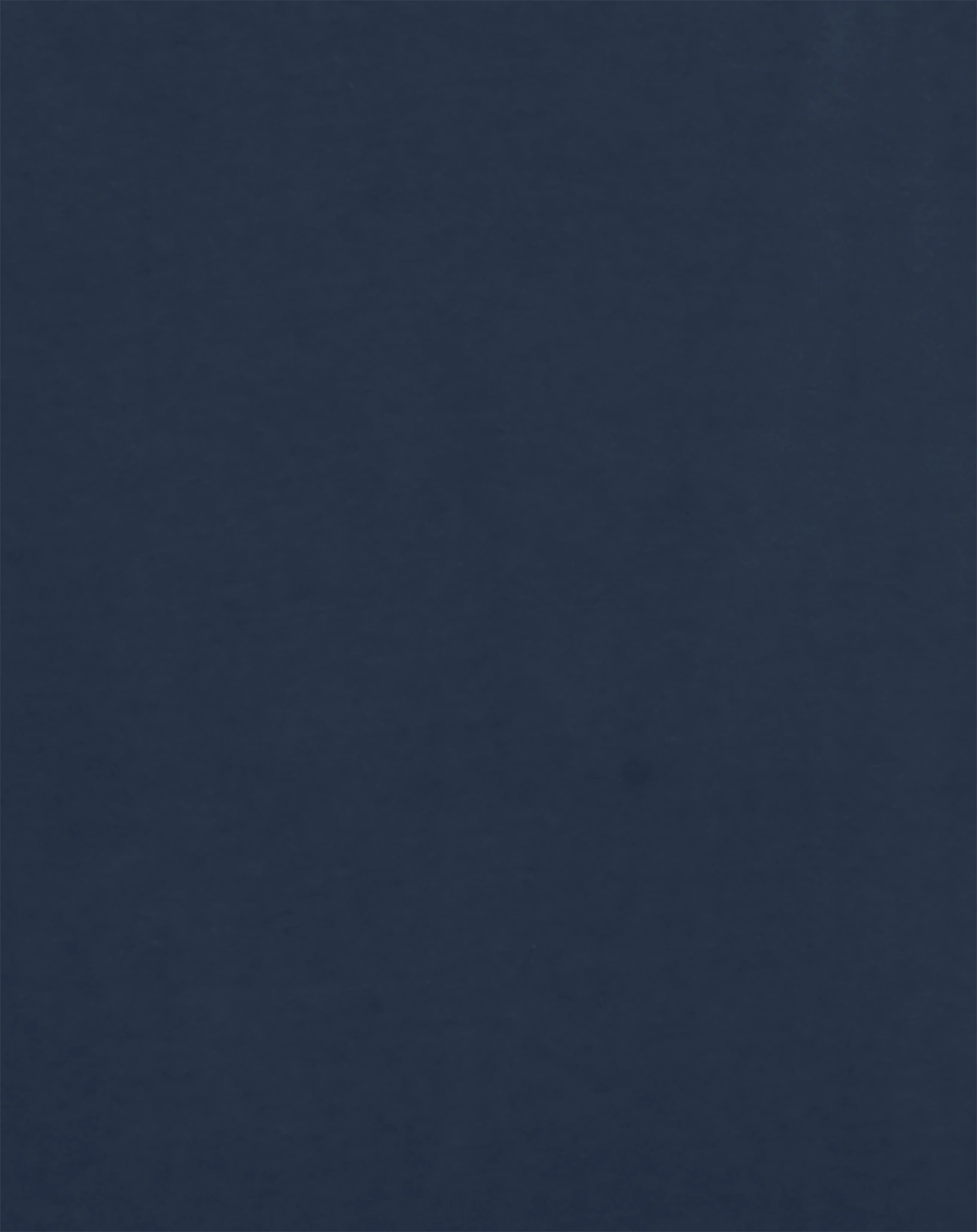 T-Shirt ALWIN in blue moon