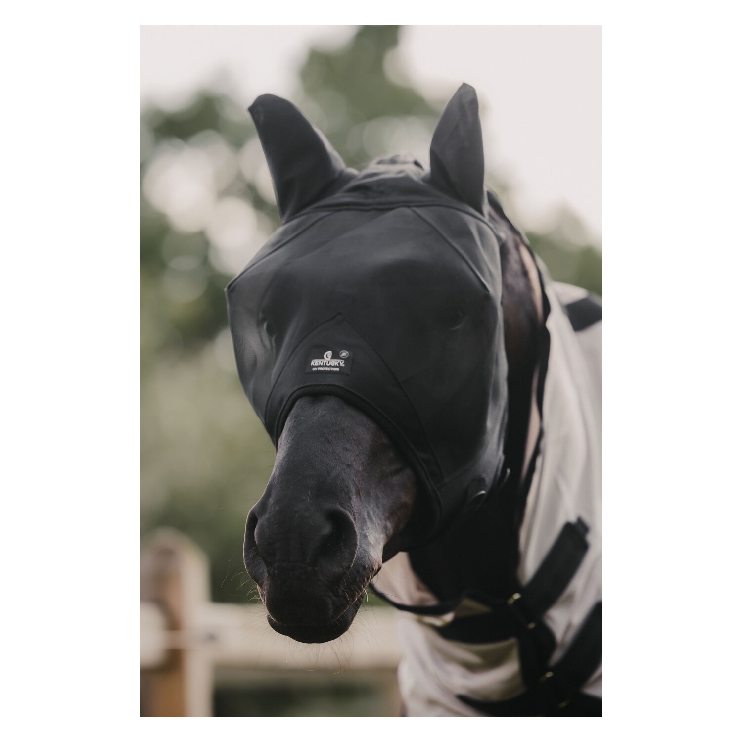 KENTUCKY Fliegenmaske Classic mit Ohren  - black