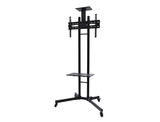 NEWSTAR - Pied de sol Support sur pied tv plasma-m1700e