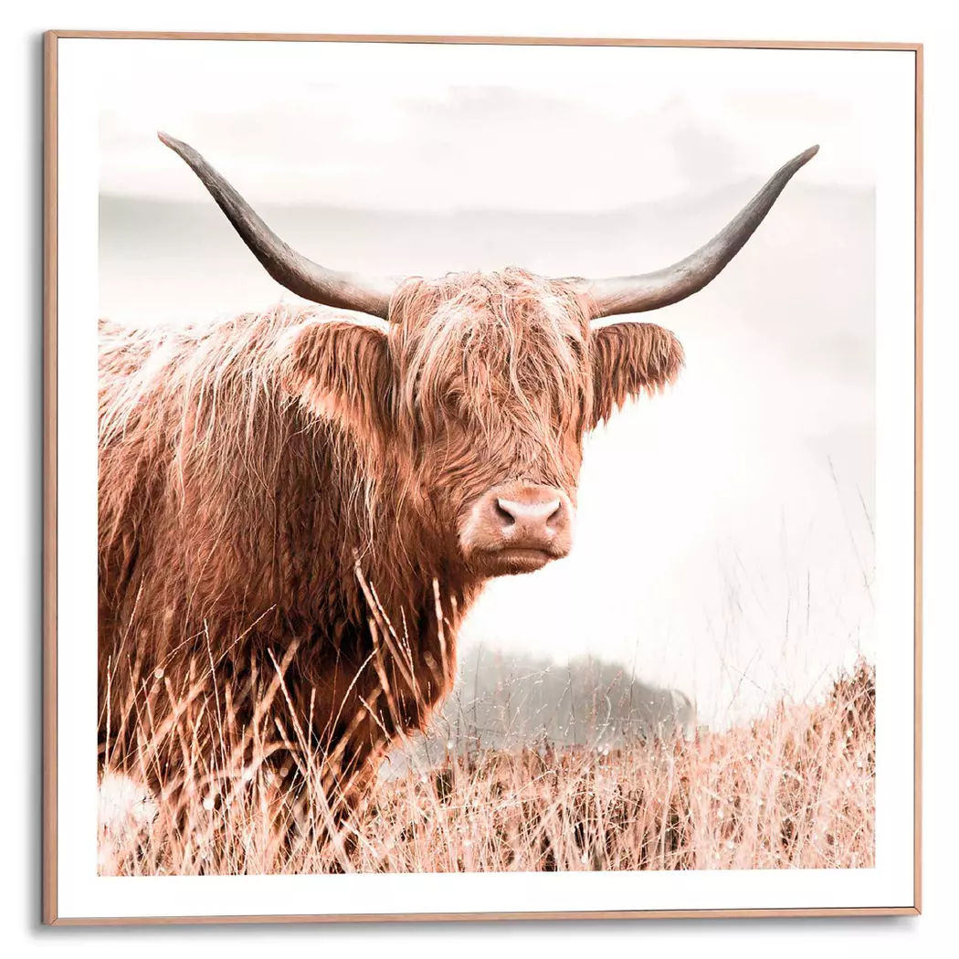 Wandbild 50 x 50 cm Highlander