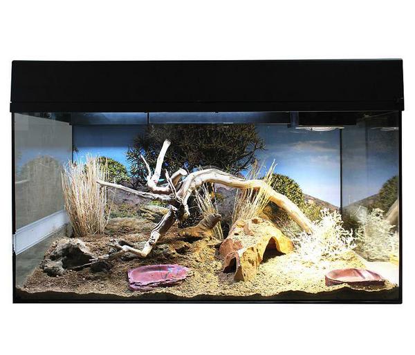 Lucky Reptile Starter Kit Komplettset