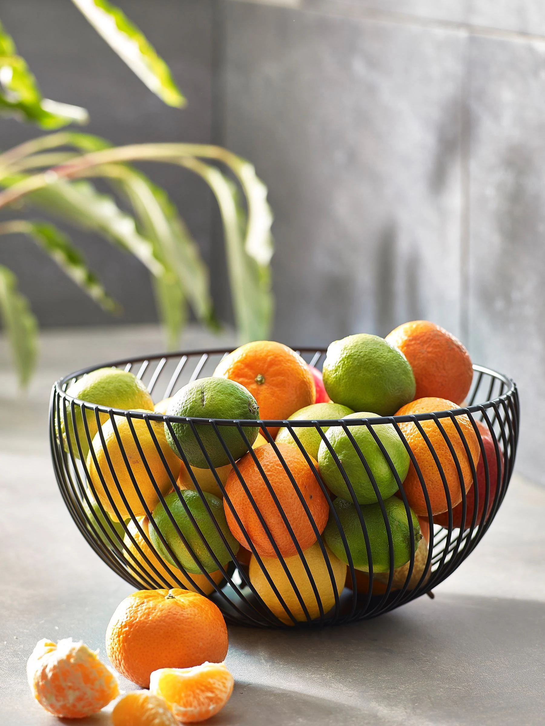Moderna fruitschaal van draad
