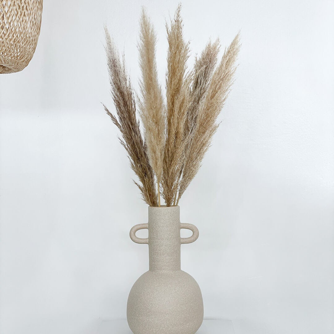 Pampasgras, beige naturel | voor tafelvaas - 5 stuks