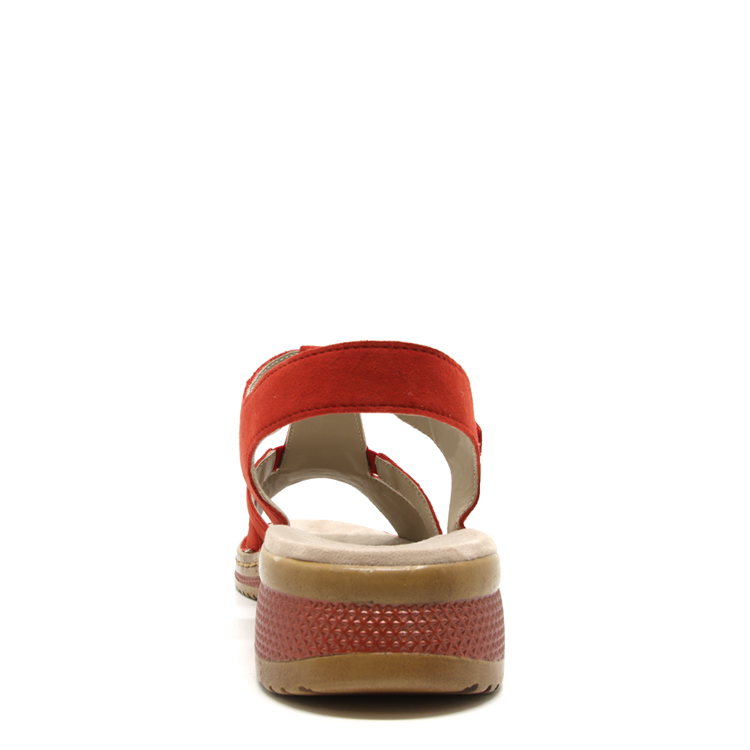Ara Helena | ROUGE