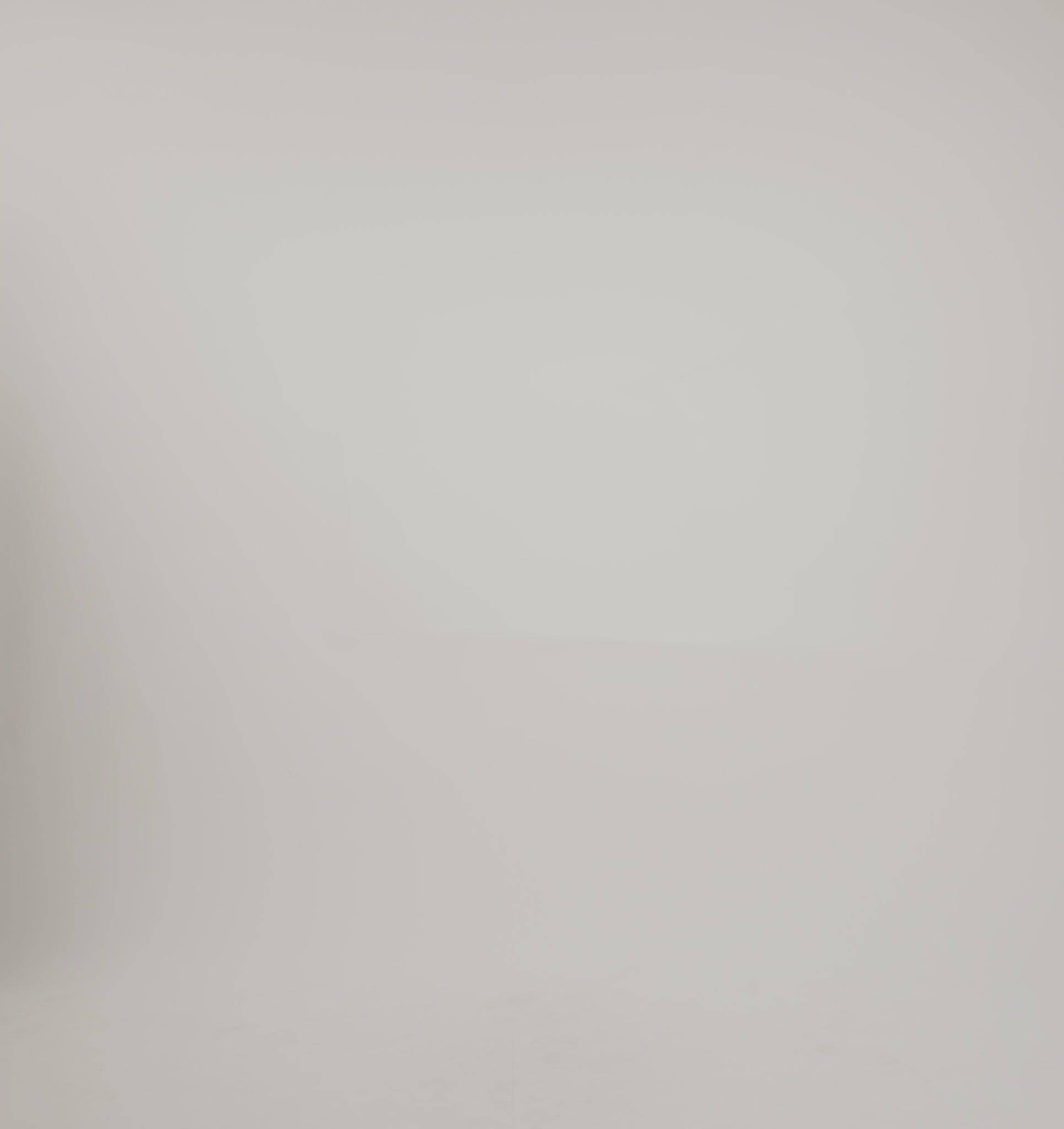 ORGANIC COTTON<br>Weekend Boxy Crewneck Sweatshirt