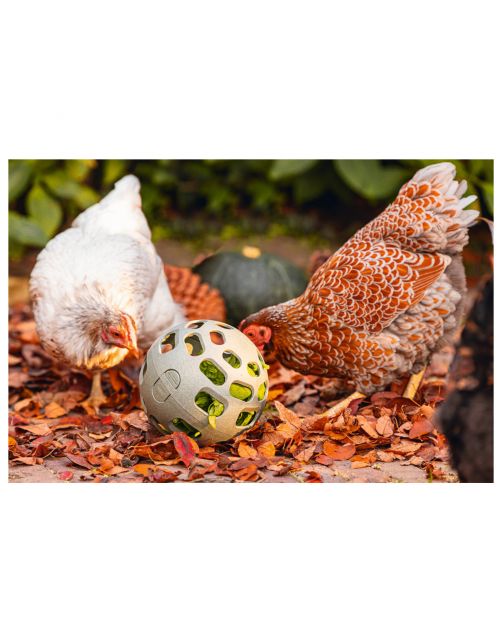 Beeztees Kip Snackbal - Kippenspeeltje - 15 cm Grijs Groen