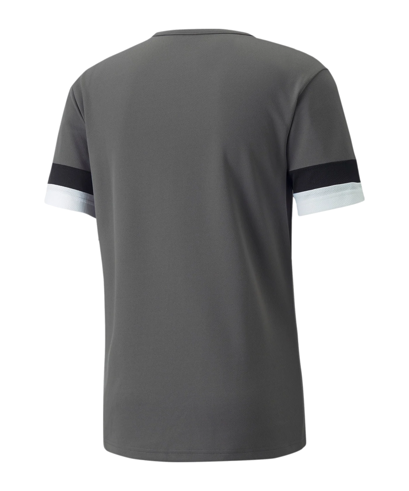 PUMA teamRISE Trikot Grau F13
