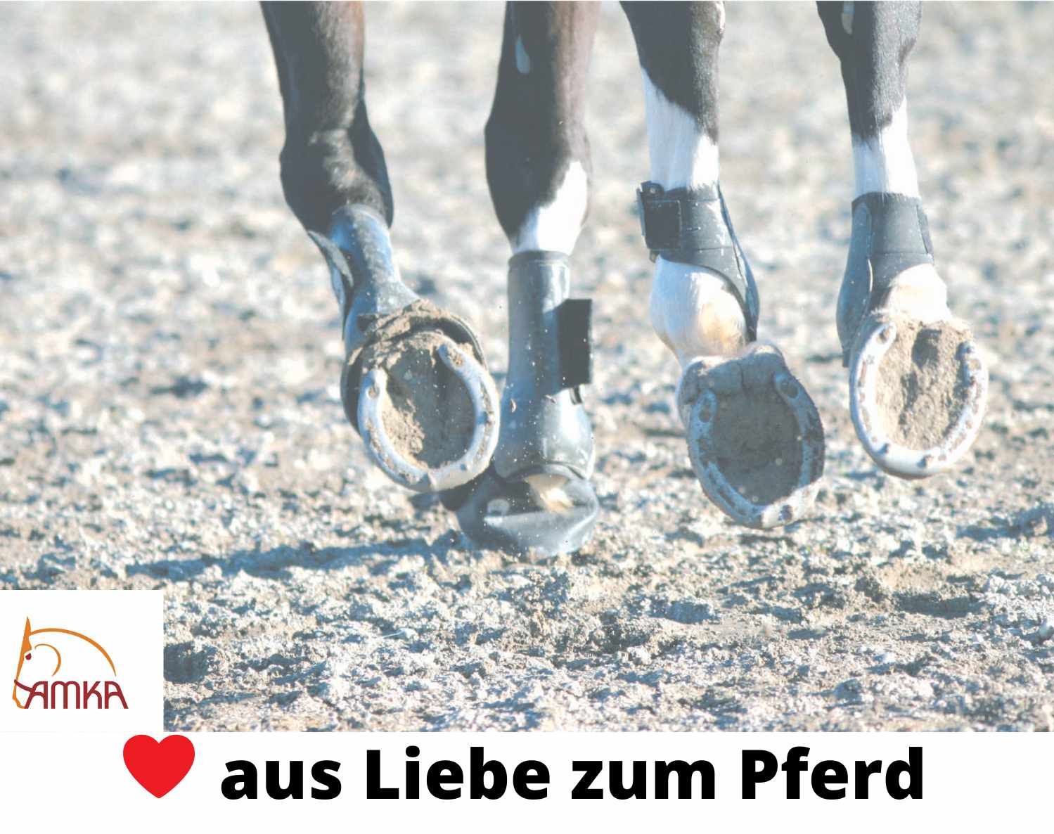 AMKA Sehnenschoner vorne