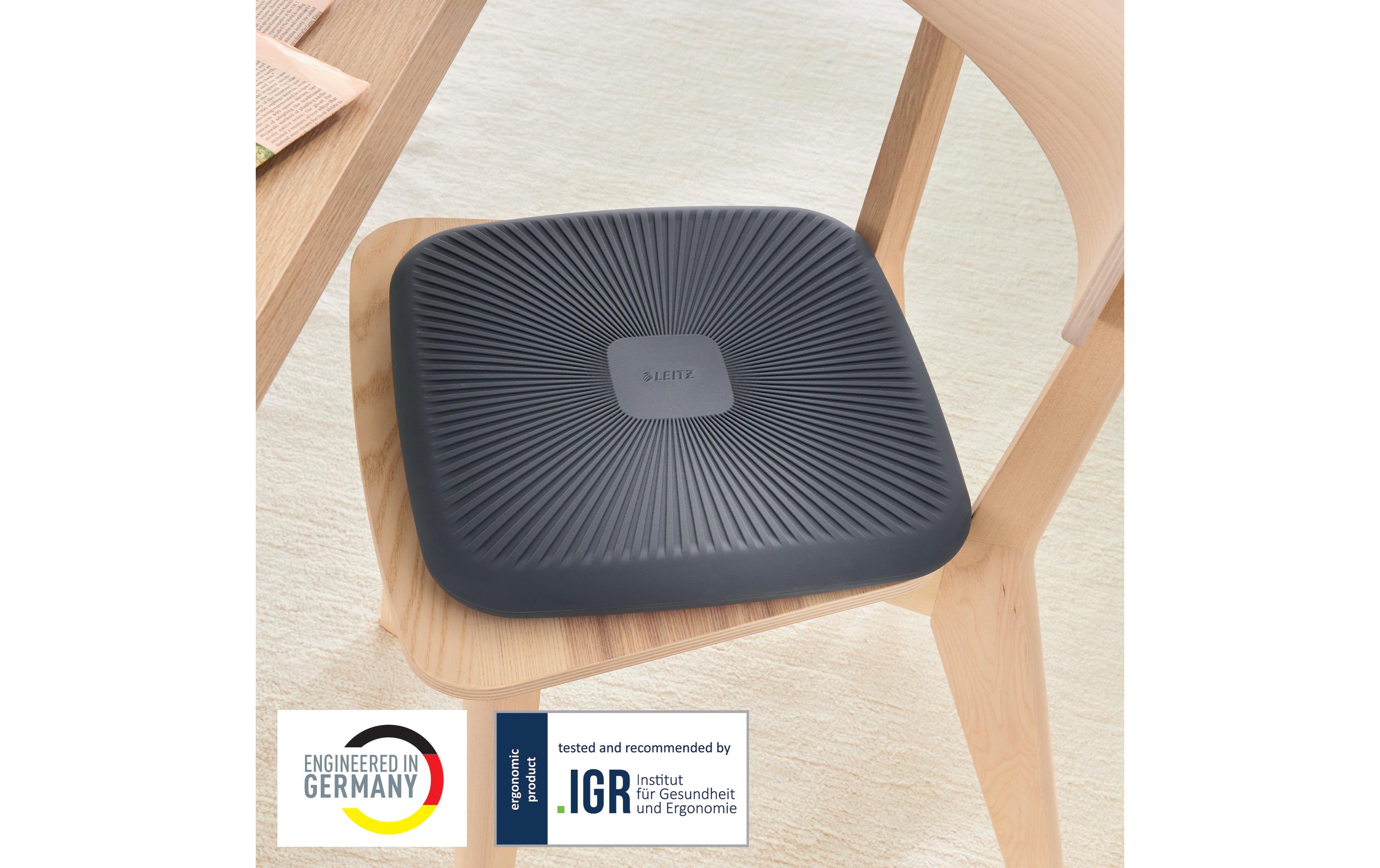 Ergo Active BalancekissenBalancekissen
