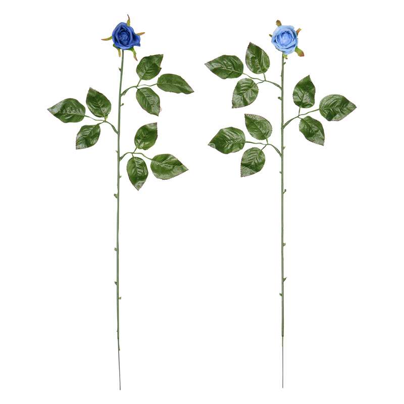 Bouton de rose 'Deep Blue' 65cm