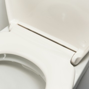 Tiger WC bril Venture Pergamon Kunststof met Softclose