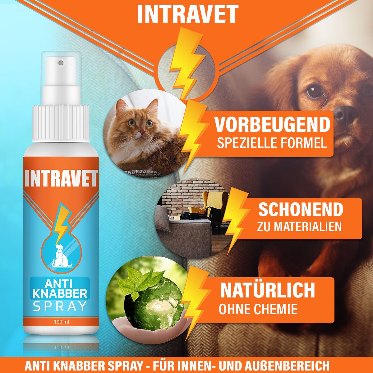 Intravet® | Anti Knabber Spray | Abwehrspray
