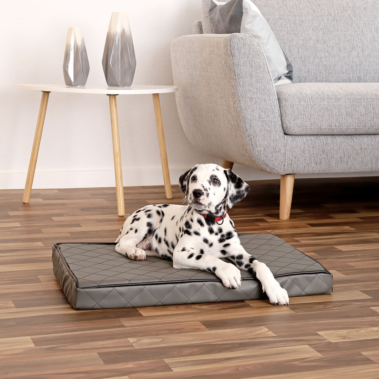 Lionto Orthopädische Hundematte S