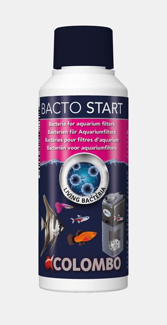 Colombo Bacto Start 250ml | Levende bacteriën