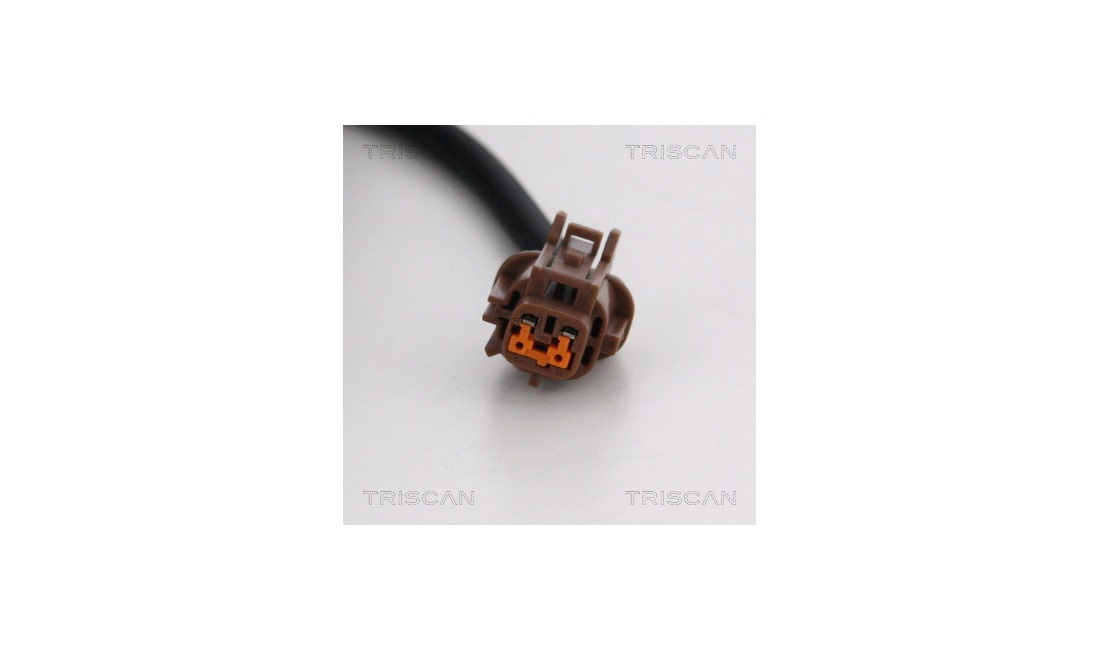 ABS sensor