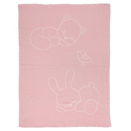 Alice & Pomme Couverture tricotée   de               Nattou