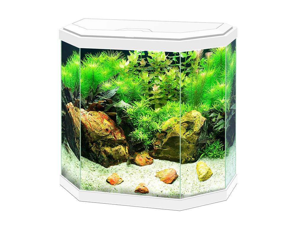 Ciano Aqua 30 LED