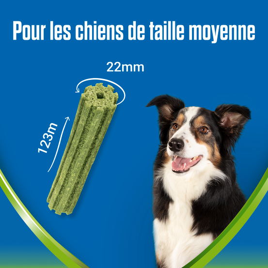 Dentalife ActivFresh Medium -Hygiène bucco-dentaire 115g - 5 Bâtonnets