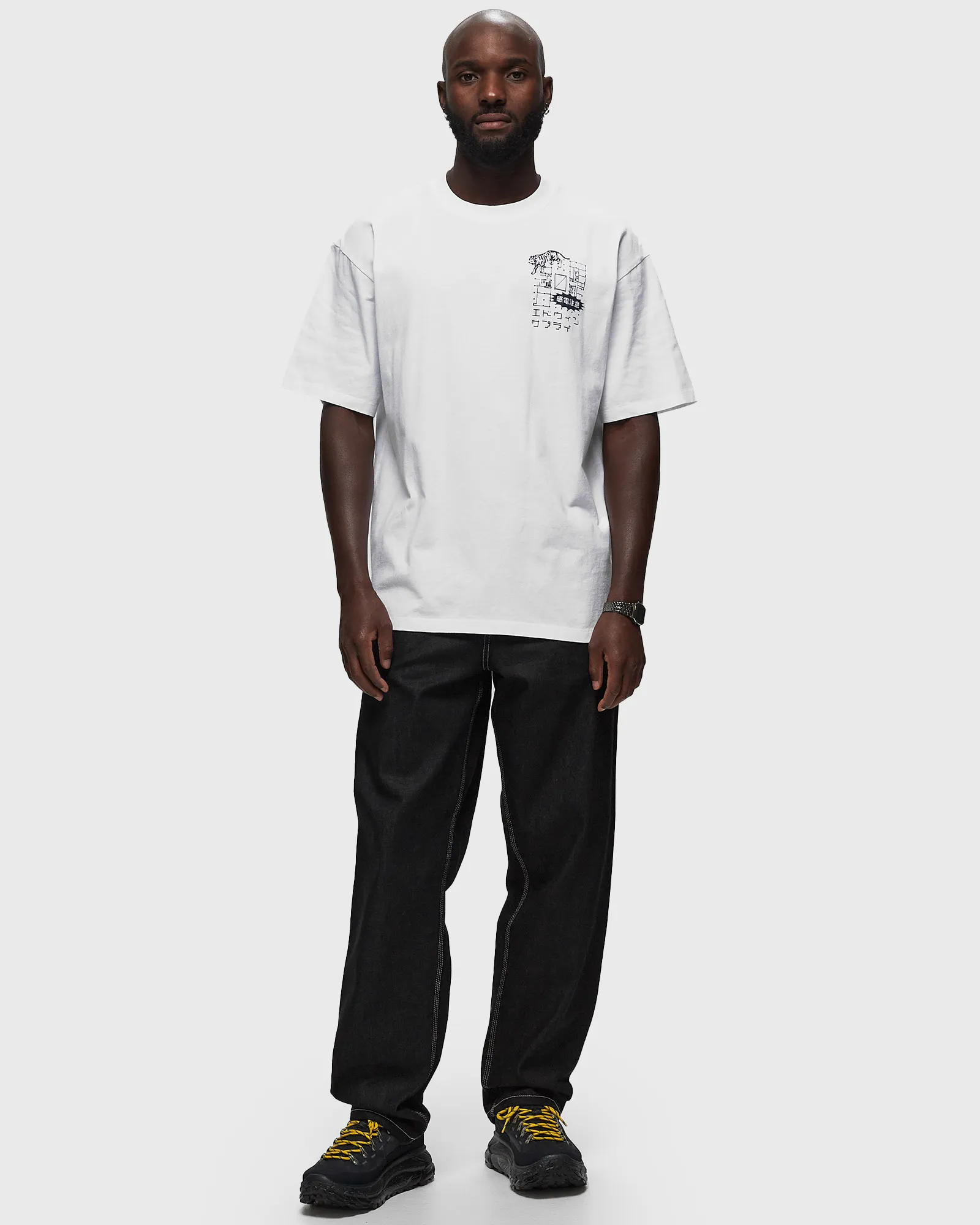 Edwin Hazardous Voltage TS