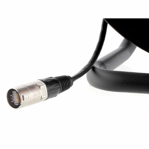 the sssnake Cat 50