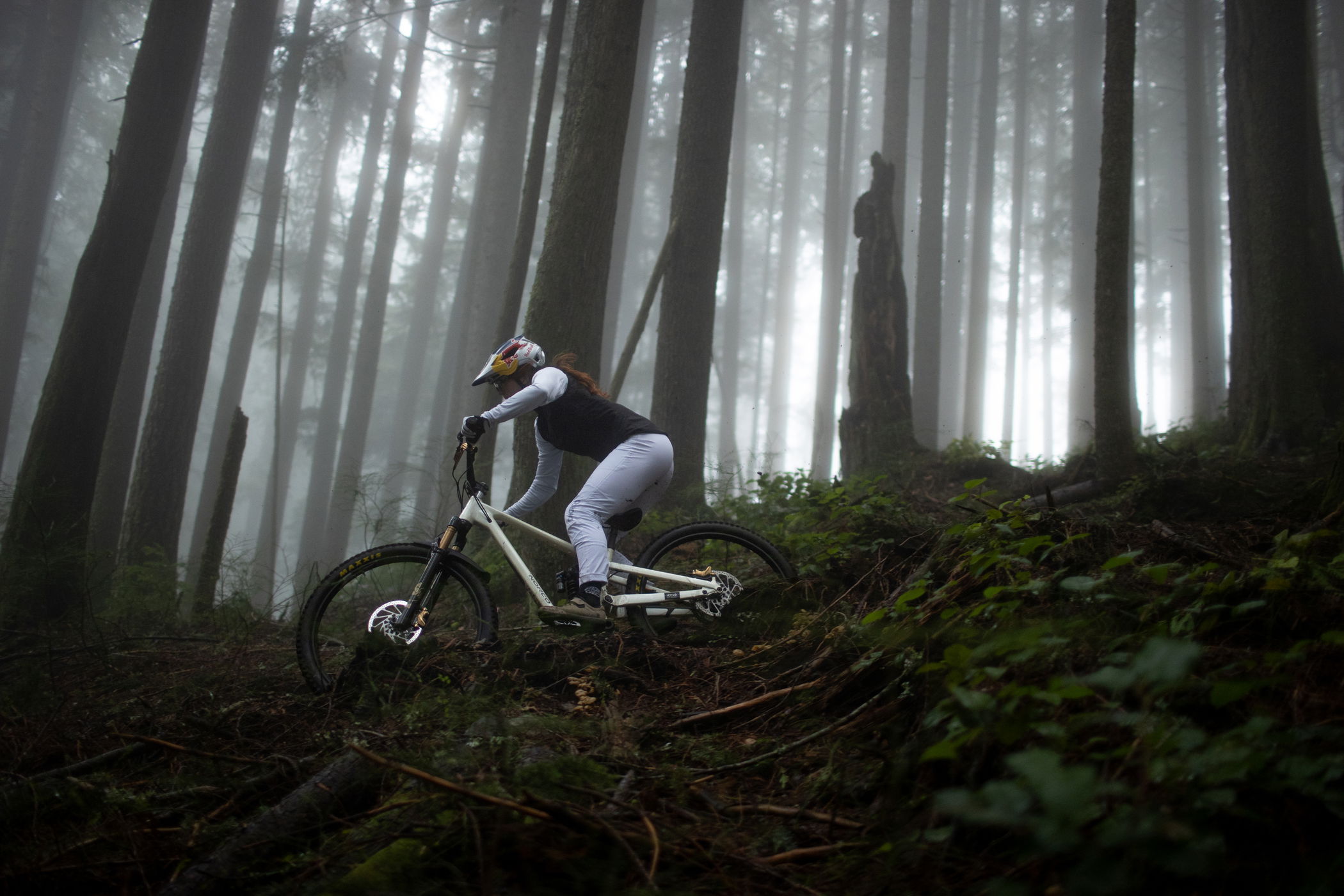 Fox Racing Shox Fox Float 36 Perf. elite 29