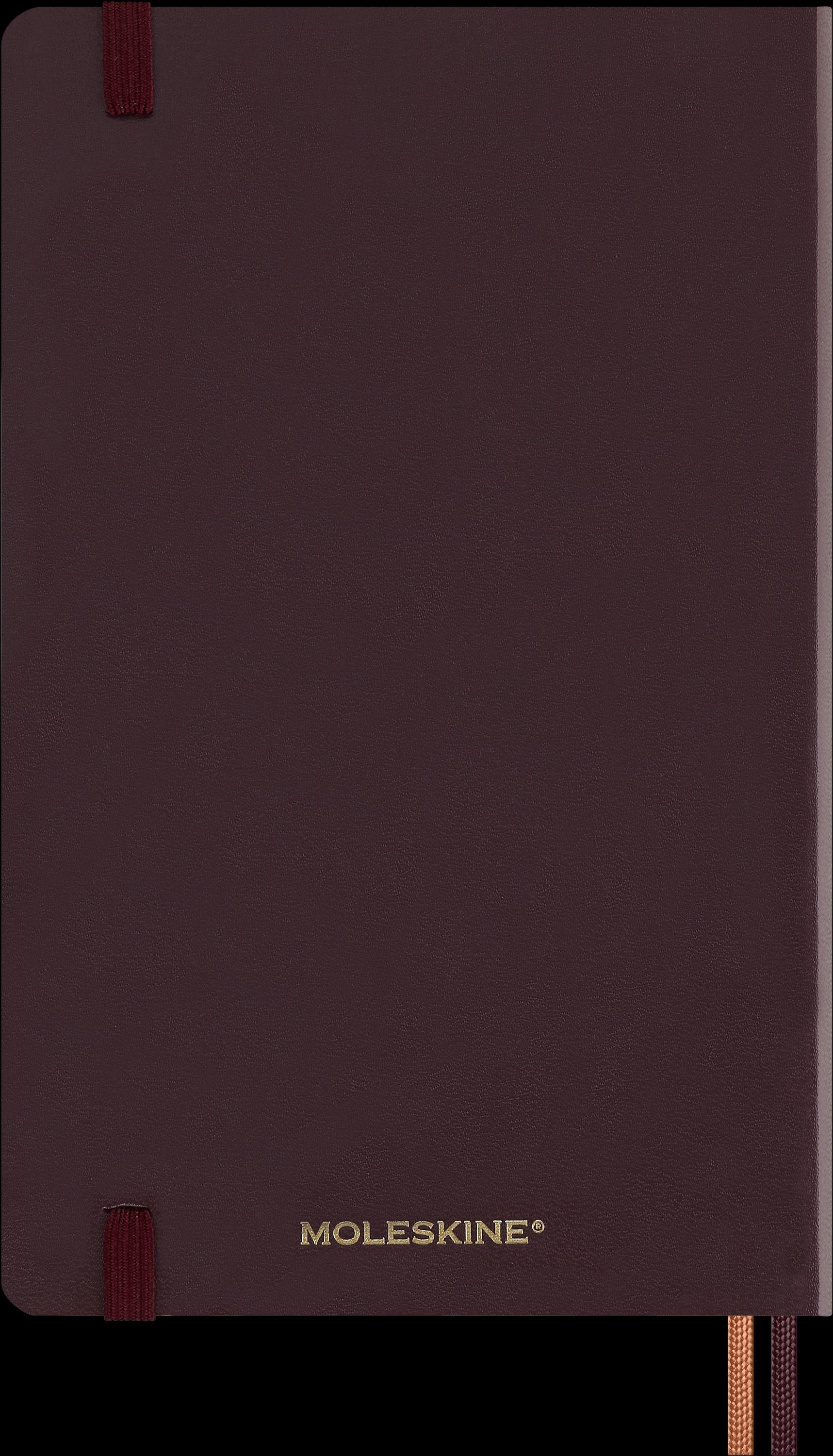 Moleskine Harry Potter Accio 12 Monate Tageskalender 2025, L/A5
