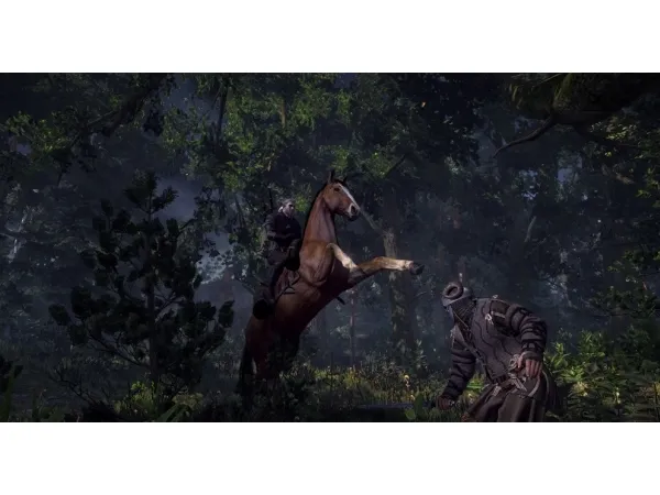 The Witcher 3 Wild Hunt - Game Of The Year Edition - PlayStation 4