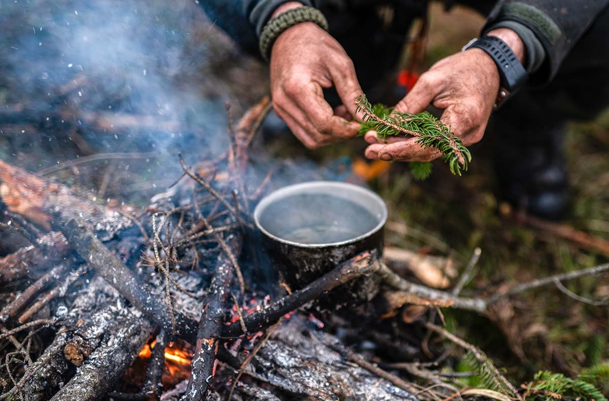 Survival Kurs Dettmannsdorf (Nahrung und Orientierung)