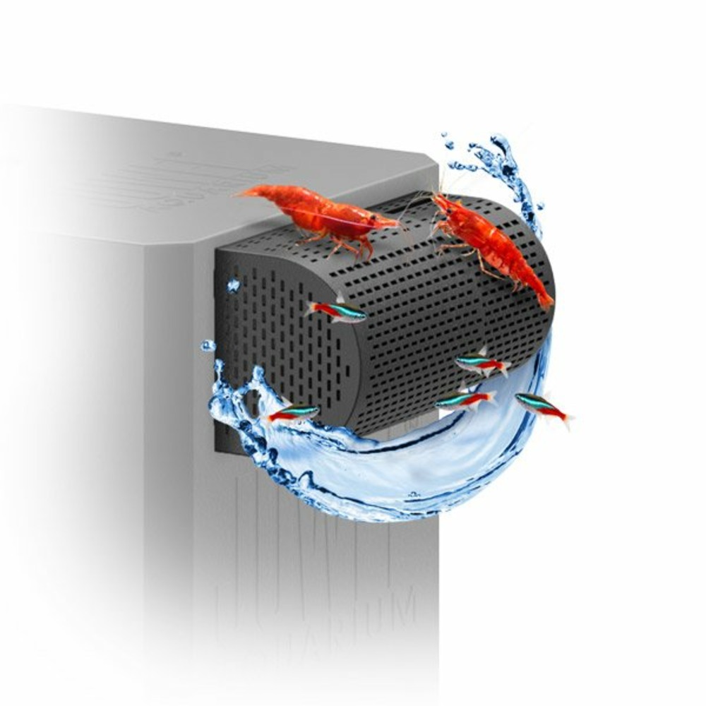 Filtergrid - protection crevettes et poissons