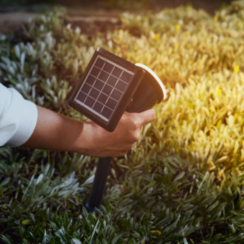 Philips solar sokkellamp Jivix zwart