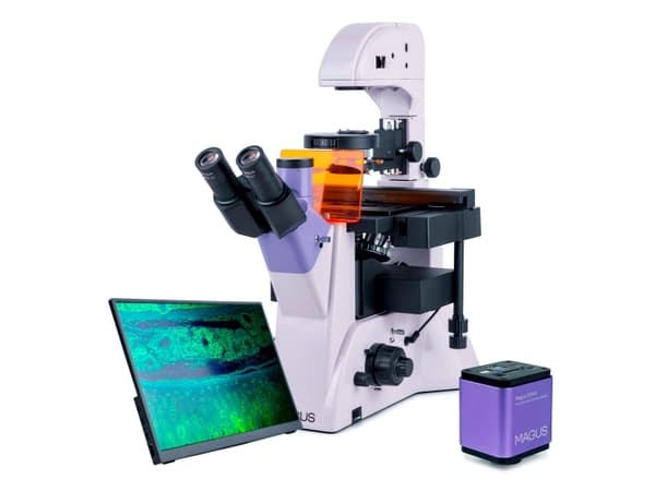 MAGUS Lum VD500L LCD Fluorescence Inverted Digital Microscope