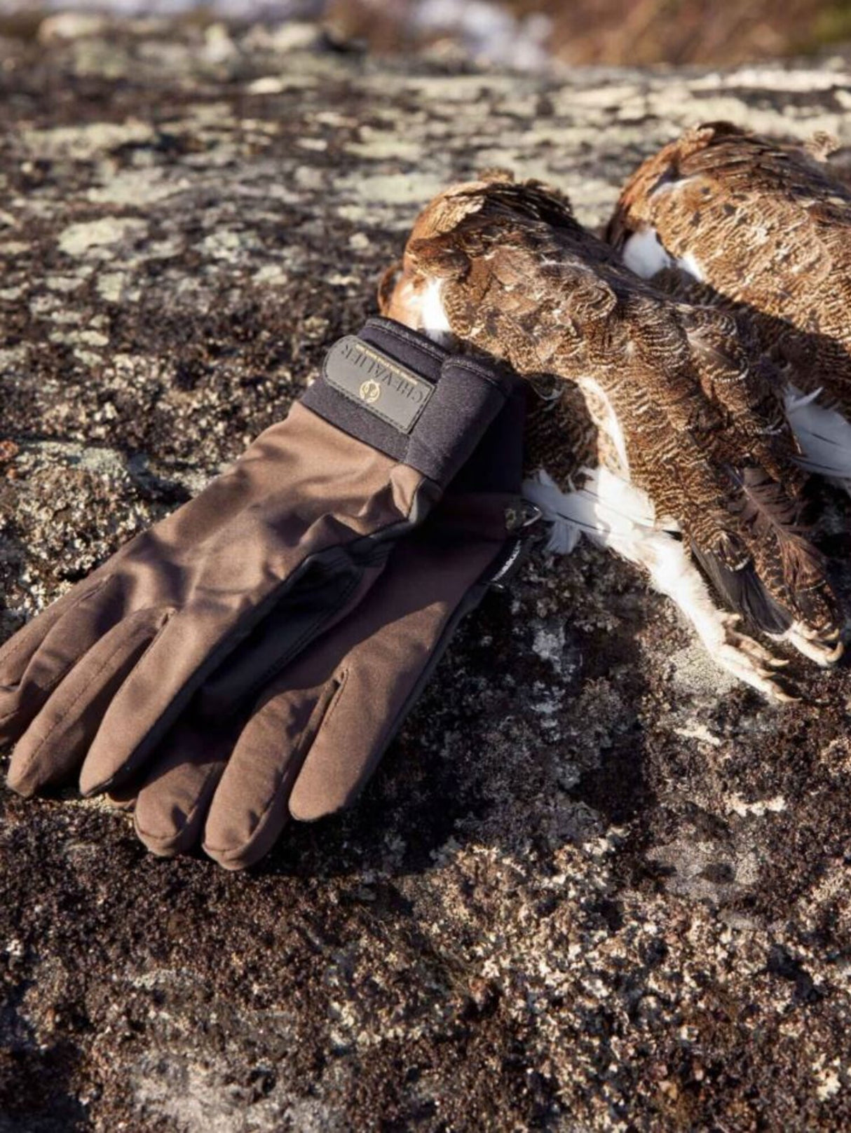 Chevalier<br>Windblocker Warm Shooting Gloves
