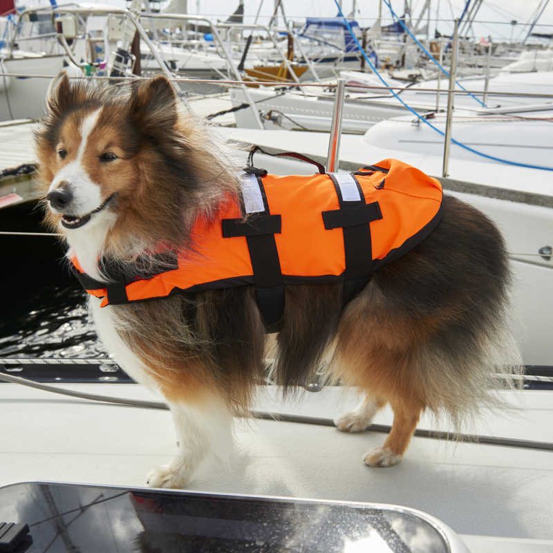 Flytevest til dyr, S