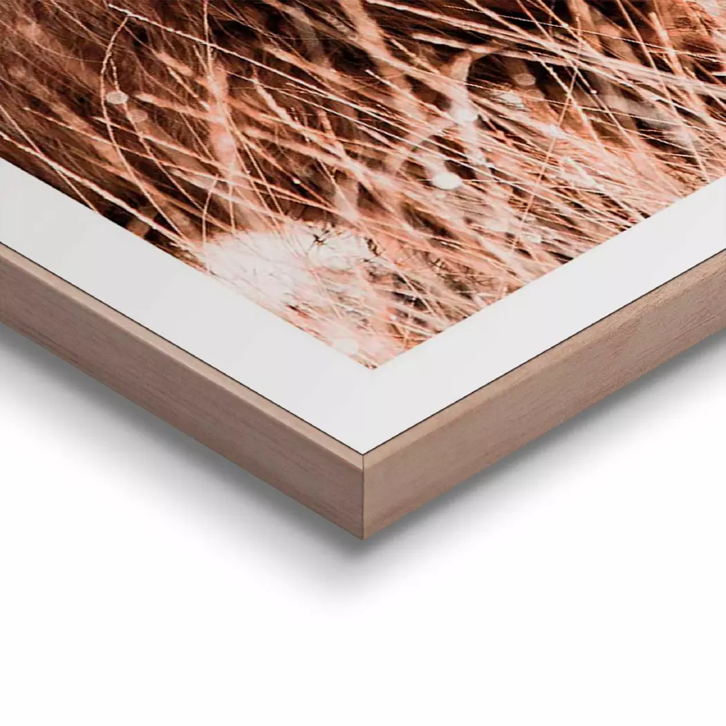 Wandbild 50 x 50 cm Highlander