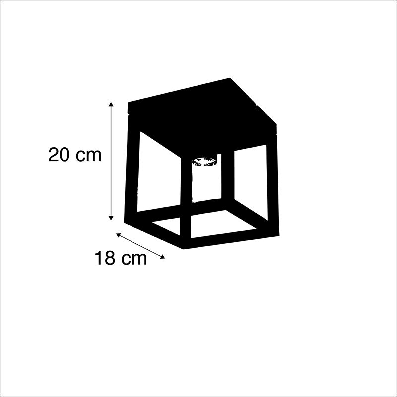 Industriële plafondlamp zwart staal - Cage