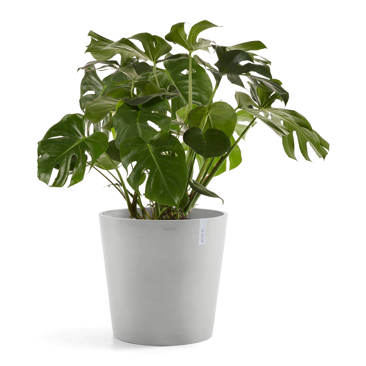 Ecopots Amsterdam 50