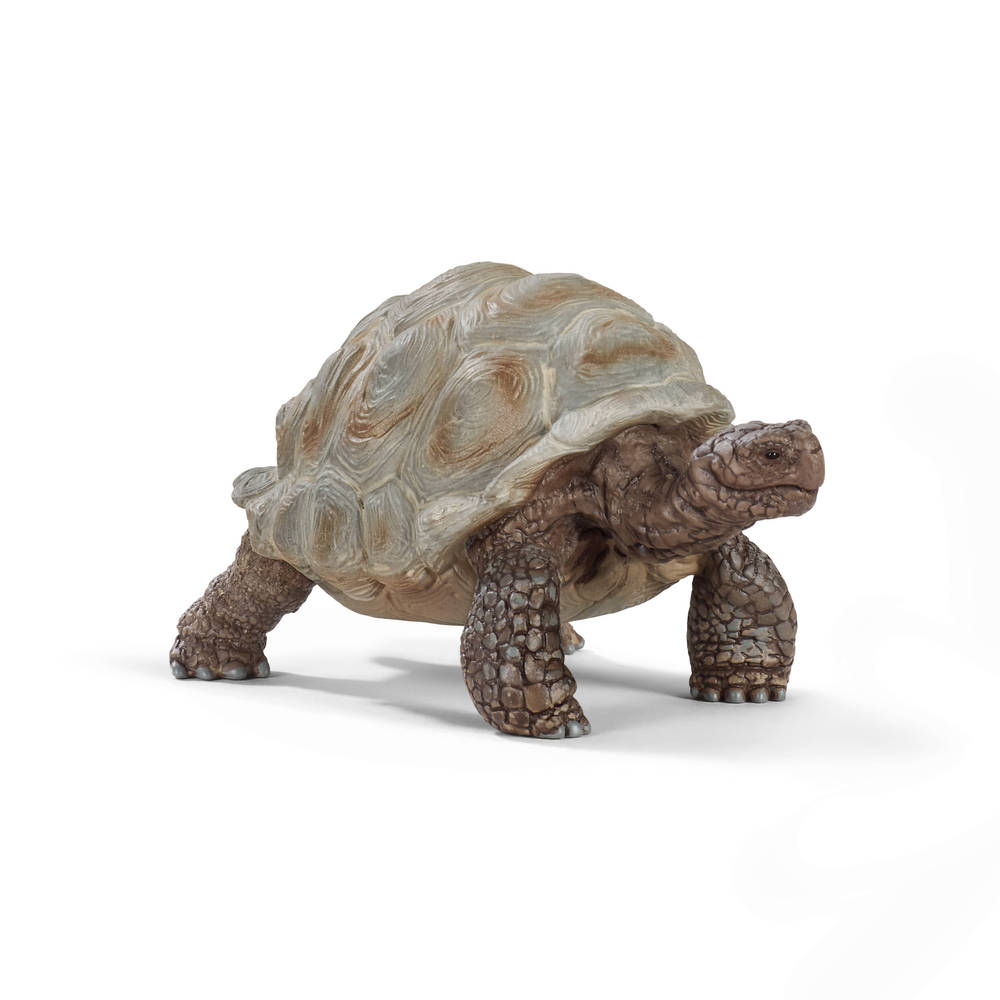 schleich WILD LIFE reuzenschildpad 14824