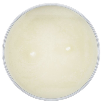 The Candle Company (Carroll & Chan) 100% Beeswax Tin Candle - Golden Delights  (8x6) cm