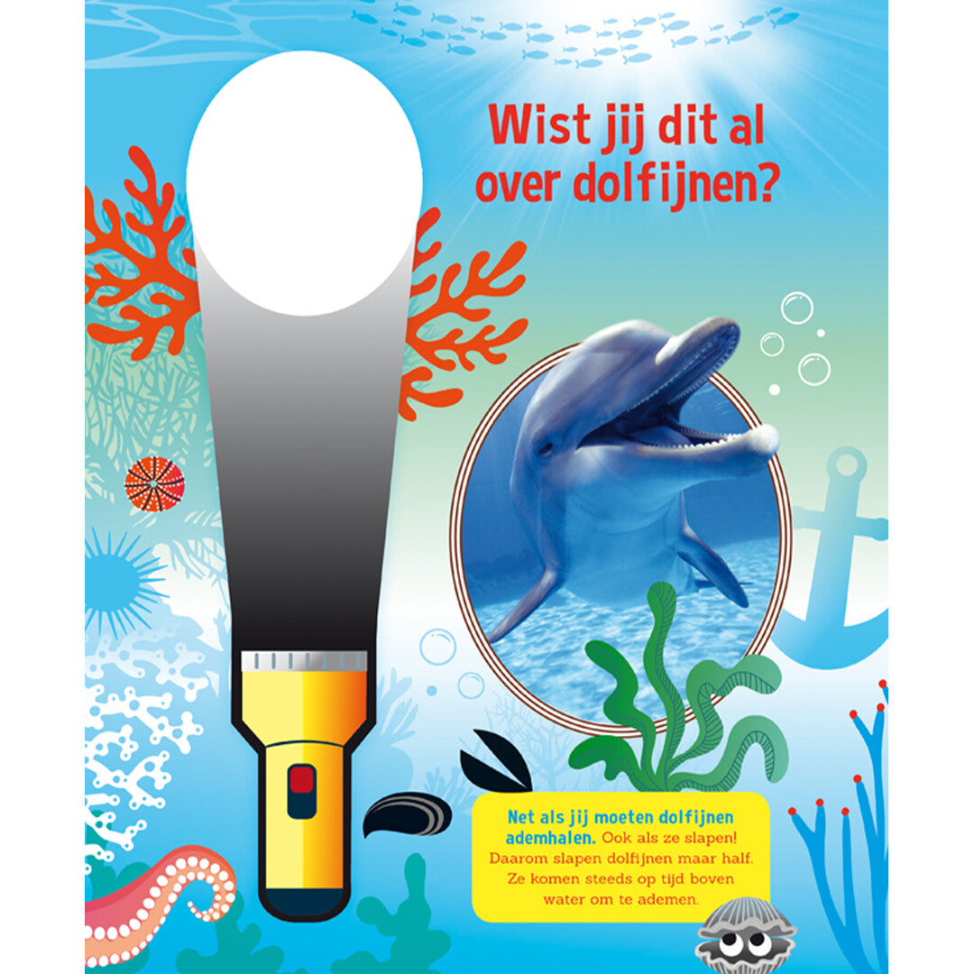 Lantaarn publishers speuren naar dolfijnen
