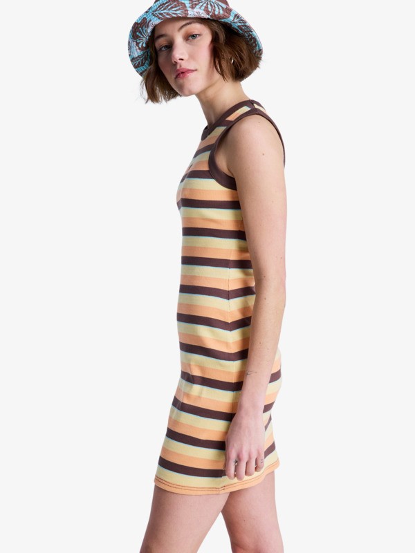 Iconic Days Stripes Robe sans manches en maille côtelée Marron Femme