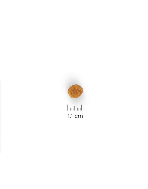 Hill's Canine Adult Mini - Hondenvoer - Kip 800 g