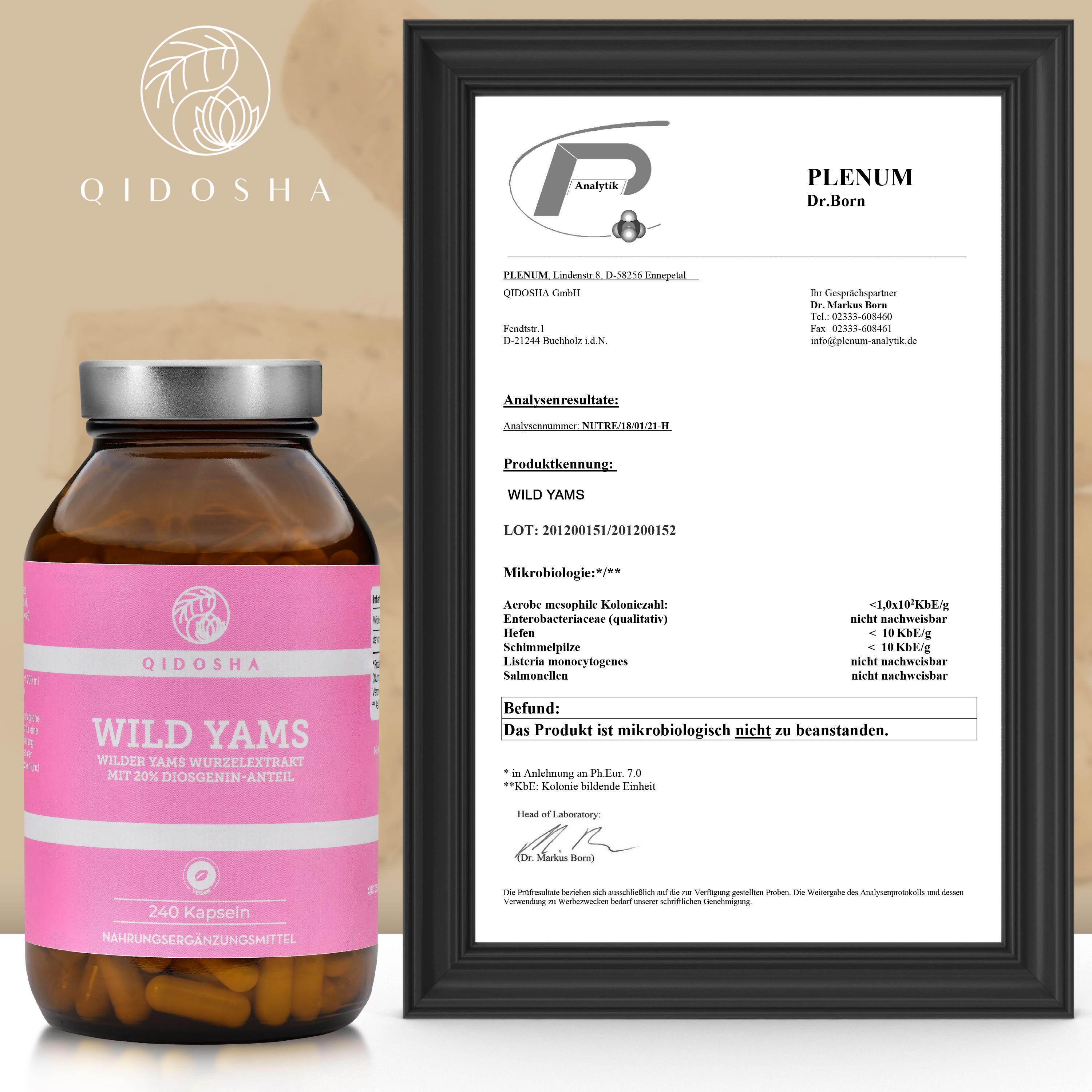 QIDOSHA WILD YAMS Wurzel Extrakt